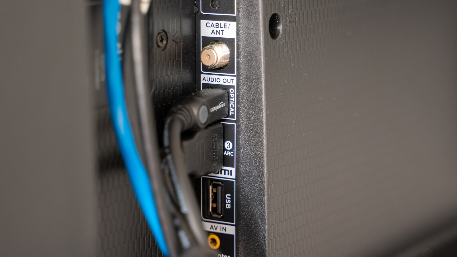 Close-up of black and blue network cables plugged into hardware